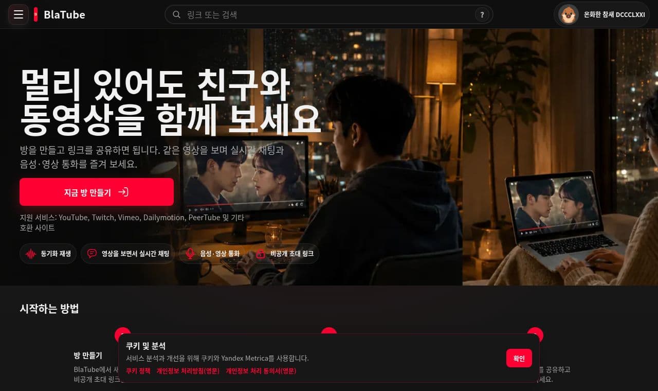 BlaTube 서비스 화면