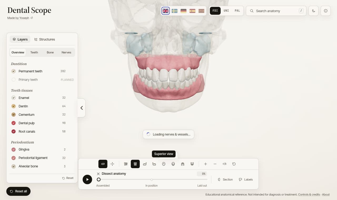Dental Scope 서비스 화면